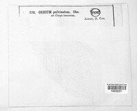 Image Associated With the Occurence